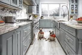 Home , Kitchen & Pets